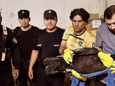 rescate c�ndor