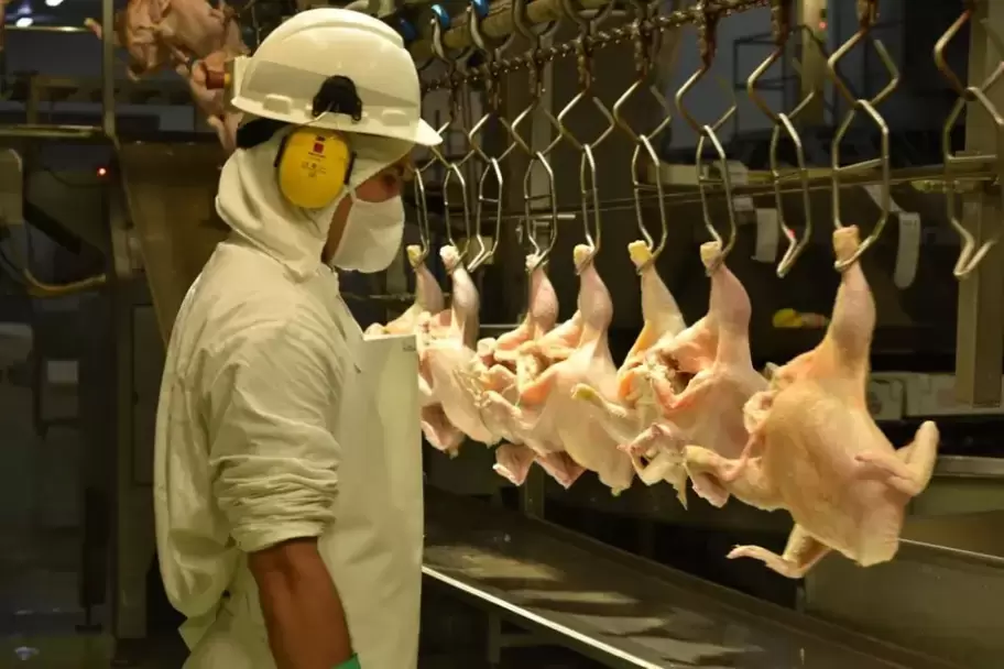 El ajuste silencioso de Granja Tres Arroyos sacude al negocio aviar