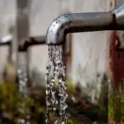 Alerta por altos niveles de ars�nico en el agua: cu�l es la situaci�n en Jujuy
