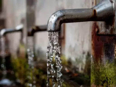 Agua canilla