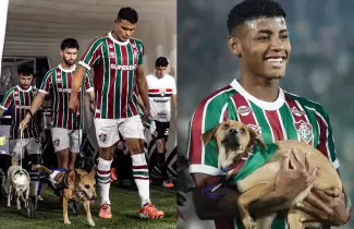 jugadores de fluminense con perritos en adopci�n