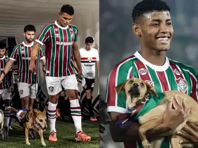 jugadores de fluminense con perritos en adopci�n