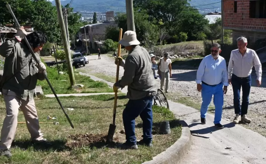 San Salvador de Jujuy supera los 3000 ejemplares plantados en este 2025