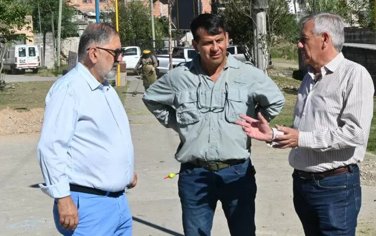 San Salvador de Jujuy supera los 3000 ejemplares plantados en este 2025
