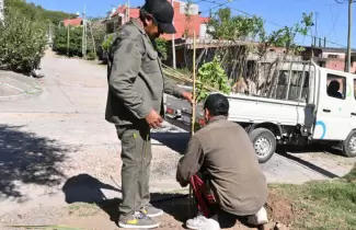 San Salvador de Jujuy supera los 3000 ejemplares plantados en este 2025
