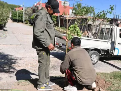 San Salvador de Jujuy supera los 3000 ejemplares plantados en este 2025