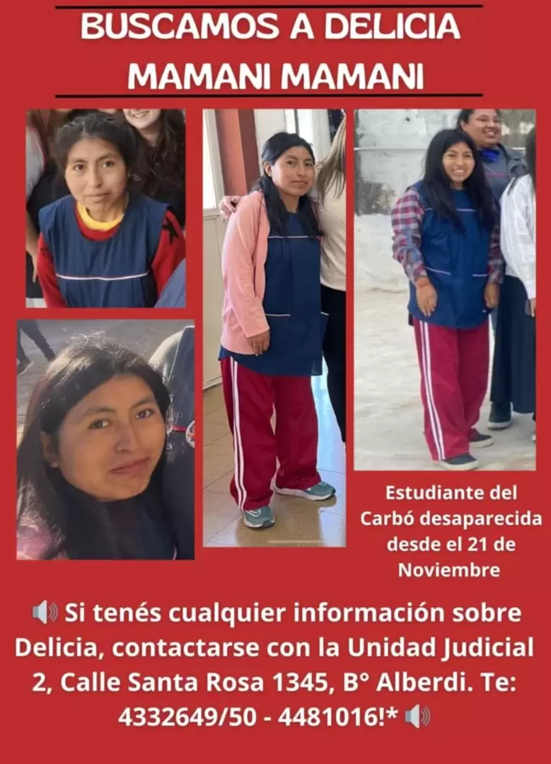 búsqueda de Delicia Mamani Mamani