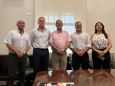 Ledesma donaci�n de bolsas de cemento