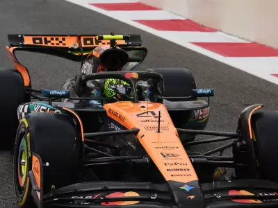 lando norris