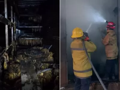 incendio estufa pampa blanca