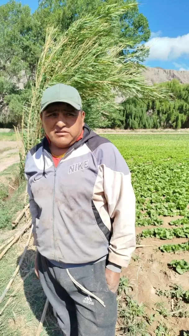 Antonio Quispe productor de la quebrada