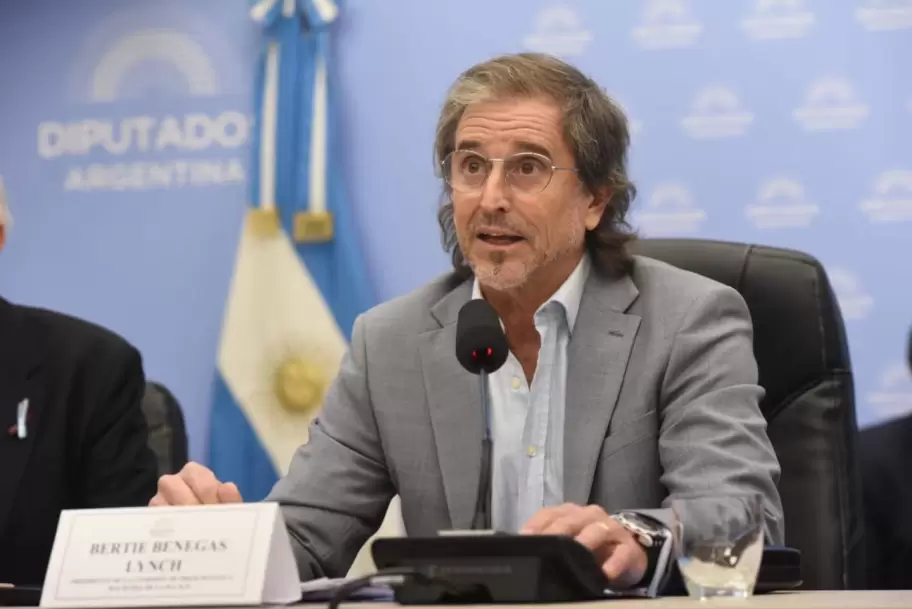 Bertie Benegas Lynch, diputado de La Liberad Avanza. Foto Cámara de Diputados.