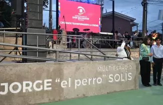 multiespacio jorge el perro solis