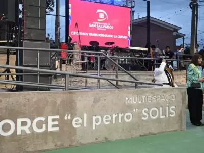 multiespacio jorge el perro solis