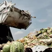 Cada argentino desperdicia 72 kilos de comida por a�o: las recomendaciones para evitarlo