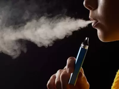 vappers cigarrillo electr�nico