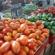 Bajó el tomate y el zapallito: cómo están los precios de las verduras en Jujuy