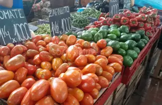 verduras en mercado jujuy