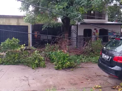 temporal de lluvia
