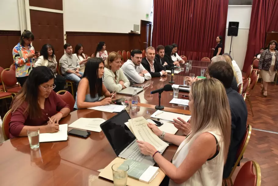 Reunión de comisiones por el Proyecto de Coparticipación