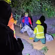 Rescataron en Palpalá a un caballo que cayó a un arroyo