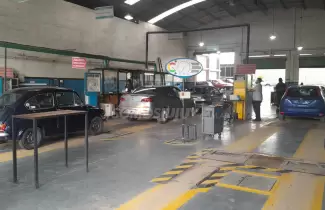 rtv palpal�