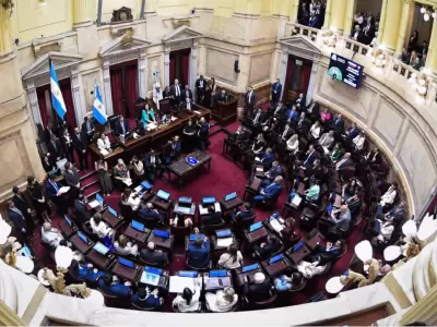 senado