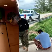 Detuvieron a un hombre que intentaba vender loros en Los Alisos