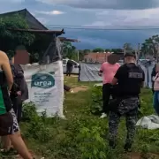 Hallaron y secuestraron una plantación de marihuana en Libertador