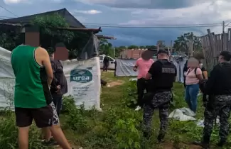 Plantaci�n marihuana libertador