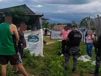 Plantaci�n marihuana libertador