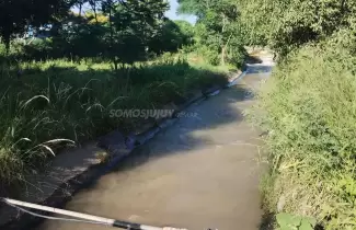 canal de la muerte Perico