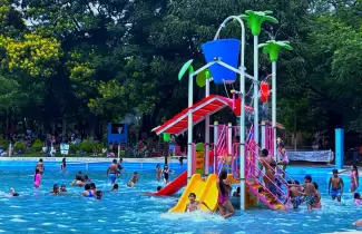 perico verano