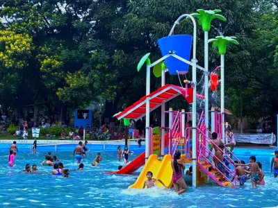 perico verano