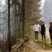 Tras los incendios en Chubut, Ignacio Torres pedirá que el "ecocidio" sea considerado delito