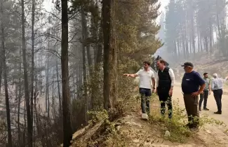 Tras los incendios en Chubut, Ignacio Torres pedir� que el "ecocidio" sea considerado delito