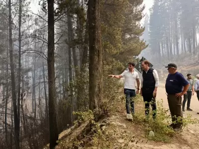 Tras los incendios en Chubut, Ignacio Torres pedir� que el "ecocidio" sea considerado delito