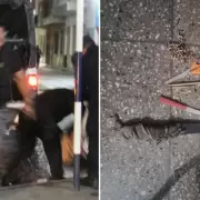 Seis demorados por intento de robo a personas en situación de calle en San Pedro