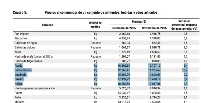 informe dipec diciembre