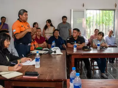 coe yungas