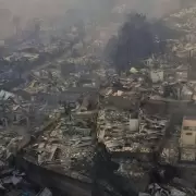 Confirman 16 muertos por los incendios forestales en el sur de Chile: hay m�s de 50 mil evacuados y declaran el estado de cat�strofe