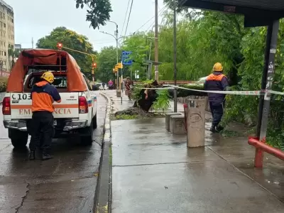 personal de defensa civil en avenida 19 de abril