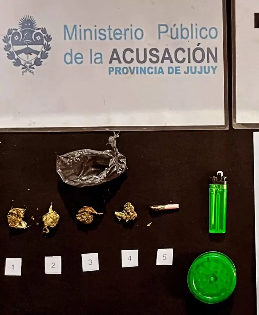 intensos operativos de la direccion general de narcotrafico en jujuy