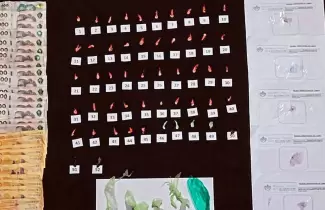 intensos operativos de la direccion general de narcotrafico en jujuy
