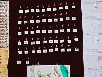intensos operativos de la direccion general de narcotrafico en jujuy