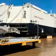 Llegó a la Argentina el barco chino de la polémica y descargó cerca de 5.800 autos híbridos y eléctricos
