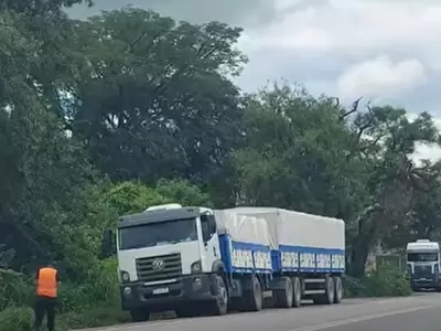 fallecimiento camionero ruta 43 los lapachos
