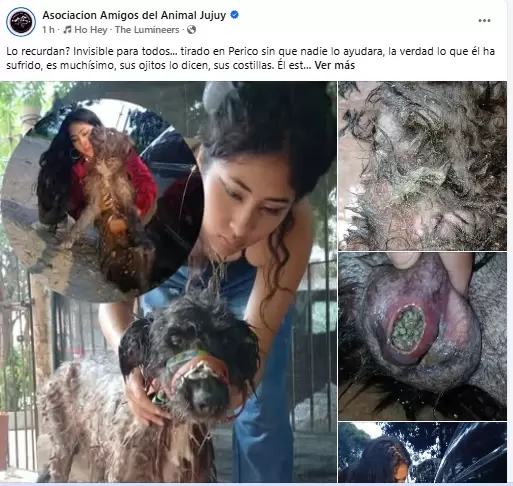 Pedido de ayuda