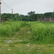 Vecinos de El Tipal reclaman mantenimiento, alumbrado y transporte