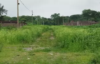 falta de mantenimiento en el barrio el tipal el Carmen.